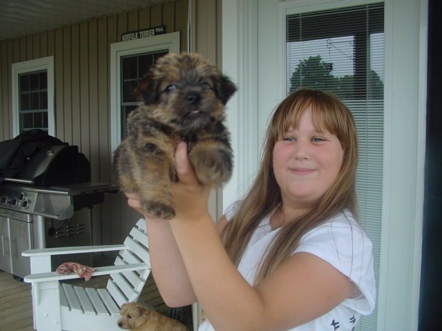 Wildgoose Puppy