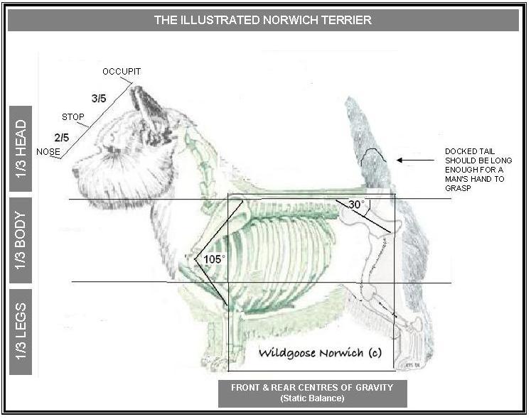 Wildgoose Illustrated Standard