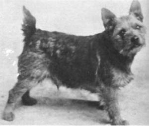 Smudge 1932
